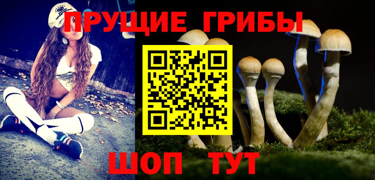 Галлюциногенные грибы прущие грибы  Галлюциногенные грибы Psilocybe  Грозный  Вход с VPN 