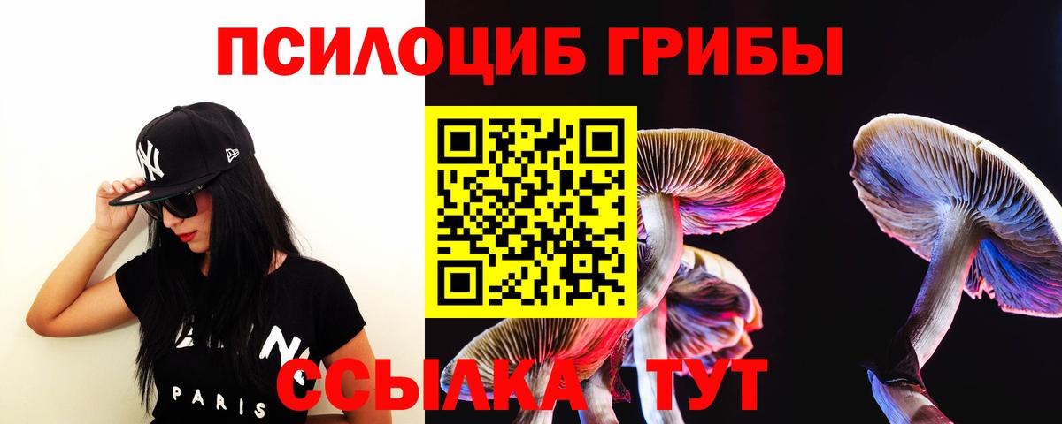 Псилоцибиновые грибы MAGIC MUSHROOMS Грозный